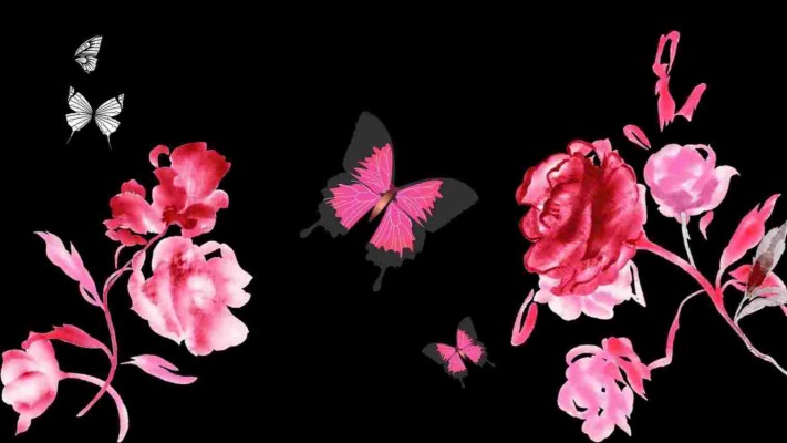 Free Butterfly Wallpaper Animated - Roses And Butterflies - 1517x853  Wallpaper 