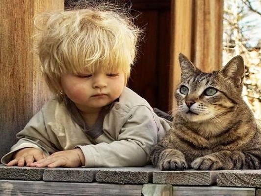 Cute Baby Boy With Cat Wallpaper - طفل مع قطه - 800x600 Wallpaper ...