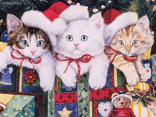 Christmas Cats And Kittens - 1024x768 Wallpaper - teahub.io