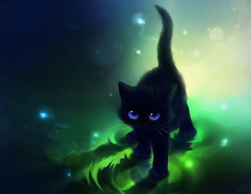 Kittens With Wings Animals Other Black Cat Blue Eyes - Anime Black Cat ...