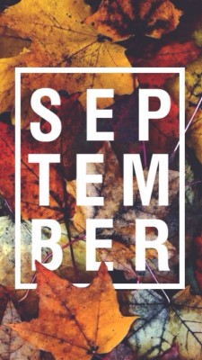 Iphone Wallpaper September 2019 - 640x1136 Wallpaper - teahub.io