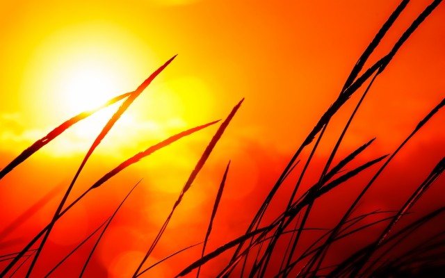 Sun Light Hd Background - 1920x1200 Wallpaper - teahub.io