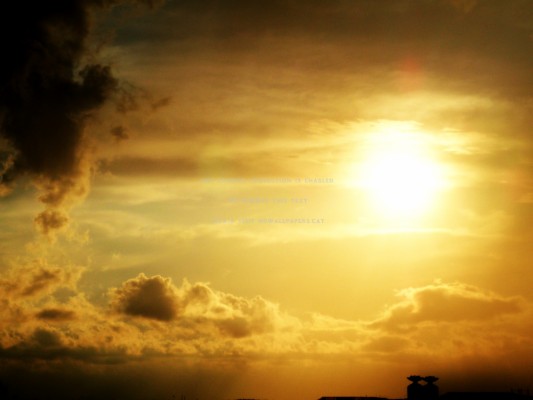 Golden Sunset Wallpaper - Sunset - 1200x675 Wallpaper - Teahub.io