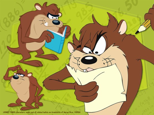 Hd Tazmania 4k Photos For Pc - Tasmanian Devil Cartoon - 1024x768 ...