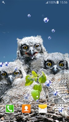 Owl Live Wallpaper 750x936 Wallpaper Teahub Io