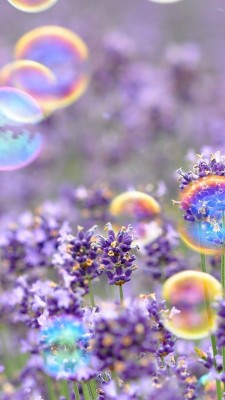 Beautiful Spring Android Wallpaper With Hd Resolution - Spring Wallpaper Beautiful - 1080x1920 Wallpaper Beautiful Spring Android Wallpaper With Hd Resolution - Spring Wallpaper Beautiful - 1080x1920 Wallpaper