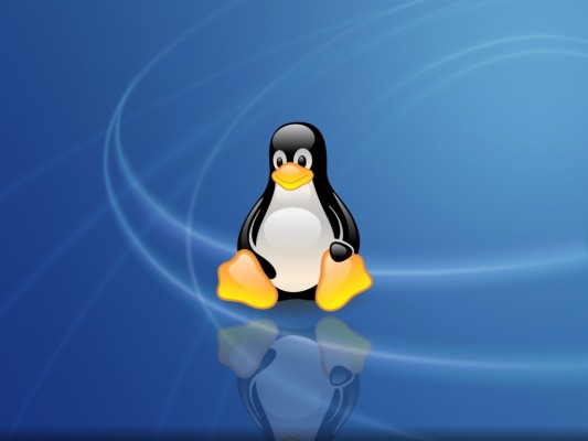 Linux Fondo De Pantalla - 1024x768 Wallpaper - teahub.io