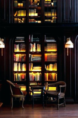 Attractive Bookshelf Lighting Idea, Library Bookcase Lighting Design