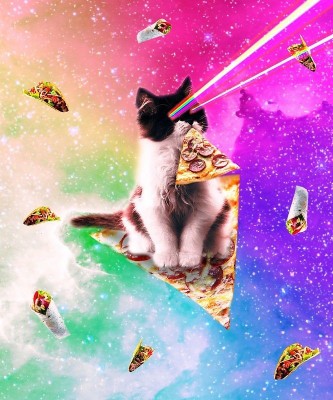 Space Cat Pizza Meme - 666x800 Wallpaper - teahub.io