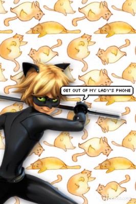 Chat Noir With Rose 736x0 Wallpaper Teahub Io