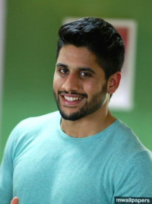 naga chaitanya premam movie posters 1024x768 wallpaper teahub io naga chaitanya premam movie posters