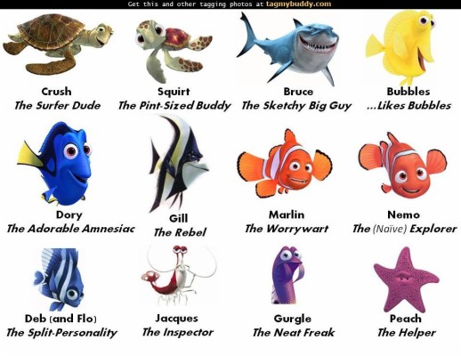  Fs Finding Nemo Classmates Names 960x740 Wallpaper Teahub io