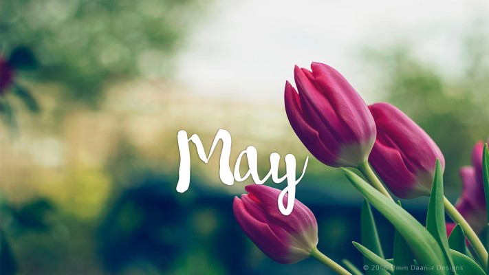 May Month Wallpaper Hd - 1600x900 Wallpaper - teahub.io