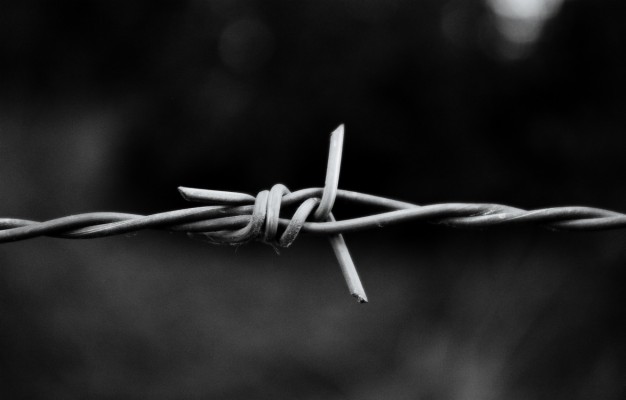 aluminum barbed wire