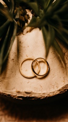 Wallpaper Rings, Wedding, Couple, Gold, Love - Wedding Background 16 9