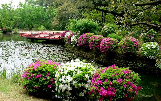 Japanese Garden Wallpaper - Flower Garden Wallpaper Hd Full Screen ...