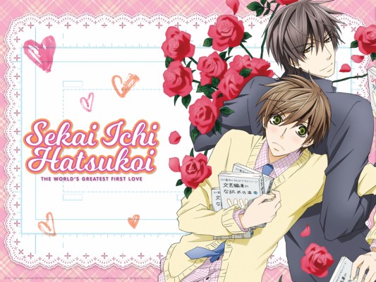 Sekaiichi Hatsukoi Vol 1 - 1920x1080 Wallpaper - teahub.io