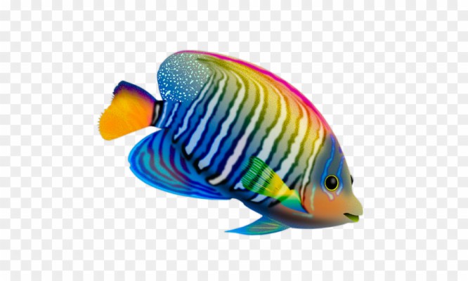 Ikan Arwana World High Price Fish 1024x768 Wallpaper Teahub Io