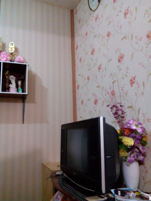 Harga Wallpaper Tembok Murah - 1920x2560 Wallpaper - teahub.io