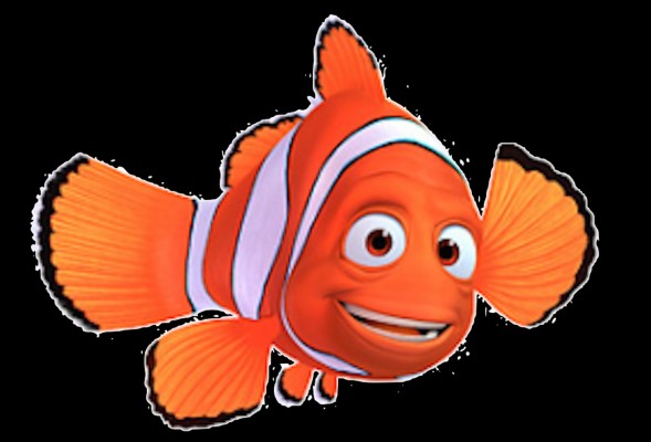 Marlin Finding Nemo Pixar Png, Clipart, Animation, - Dory And Marlin 