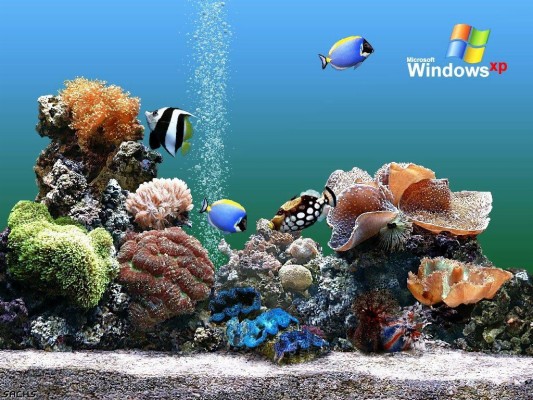 aquarium screensaver for windows 7 64 bit free download