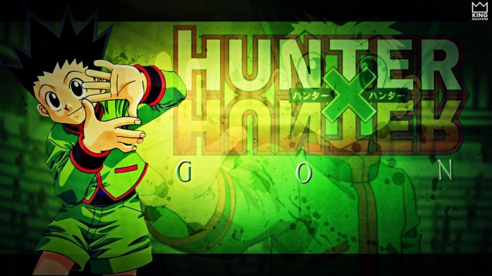 Sacrifice Gon Freecss Enhancer Nen User X - Hunter X Hunter Wallpaper ...