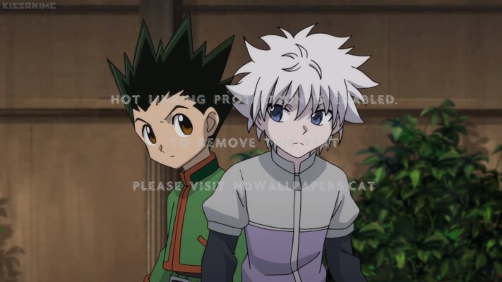 Killua Zoldyck 750x1163 Wallpaper Teahub Io