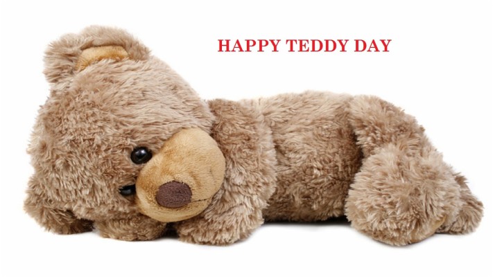 Beautiful Cute Baby Wallpapers - Cute Good Night Teddy Bear - 1600x1000 ...