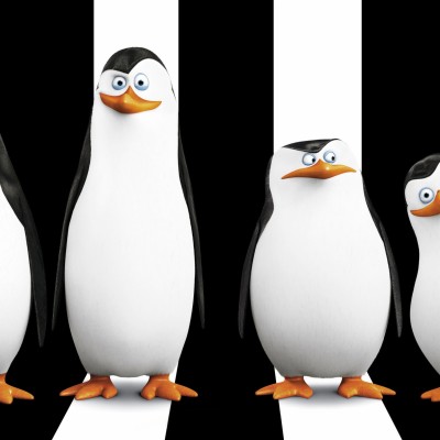 Penguin Png Skipper - 900x900 Wallpaper - teahub.io