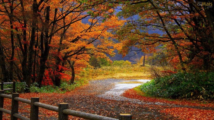 Anime Fall Background - Anime Autumn Wallpaper Hd - 1600x900 Wallpaper - Anime Fall Background - Anime Autumn Wallpaper Hd - 1600x900 Wallpaper -