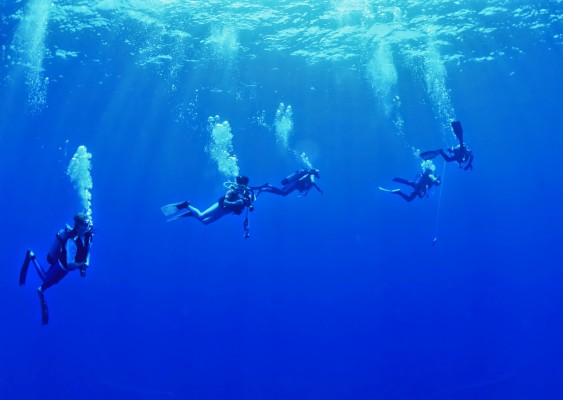 Diving Wallpaper - Scuba Diving - 1920x1200 Wallpaper - teahub.io