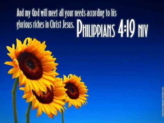 Philippians 4 19 Scripture Flower Hd Wallpaper - My God Will Supply All ...