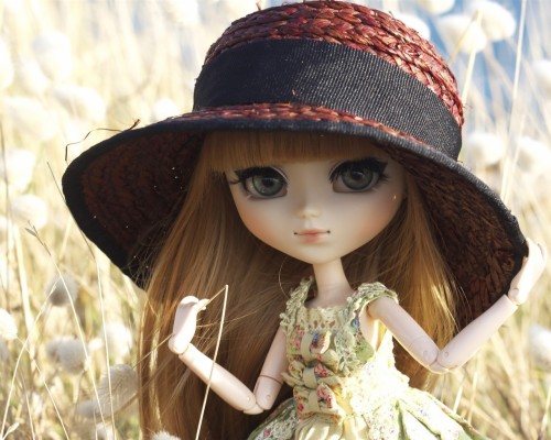 Lovely Stylish Doll Hd Desktop - Doll With Glasses Dp - 1024x682 Wallpaper  