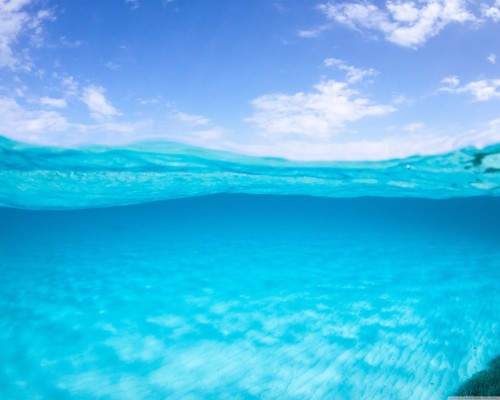 Half Underwater Half Above Water - 1024x768 Wallpaper - teahub.io