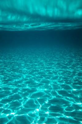 Real Underwater Ocean Background - 3840x2160 Wallpaper - teahub.io