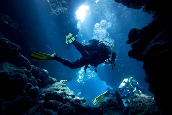 Fondos De Pantalla Buceo - 1280x851 Wallpaper - teahub.io