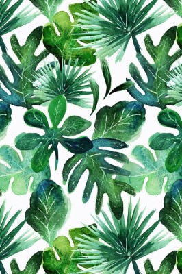 Tropical Leaves Wallpaper Hd - 800x800 Wallpaper - teahub.io