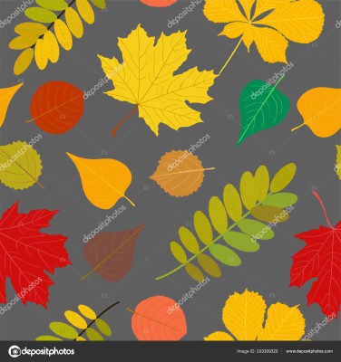可愛い 秋 画像 壁紙 1600x1700 Wallpaper Teahub Io