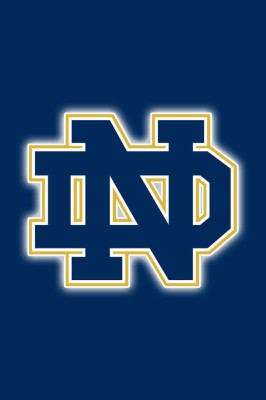 Notre Dame Football Wallpaper - 2560x1440 Wallpaper - teahub.io