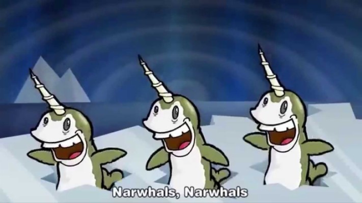Narwhals Song - 1280x720 Wallpaper - teahub.io