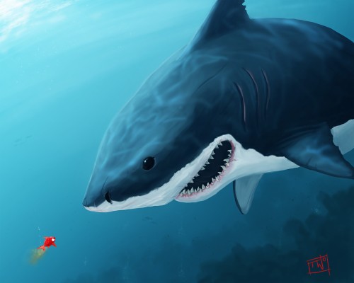 Bully Shark - 1280x1024 Wallpaper - teahub.io