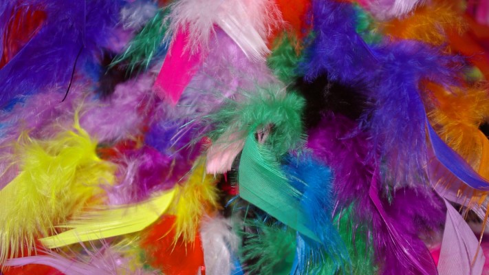 3d 0262 Wallpaper - Multi Colored Feather Backgrounds - 1920x1080 ...