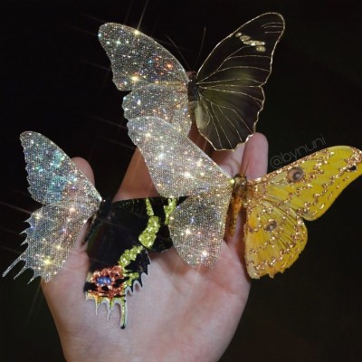 Butterfly, Aesthetic, And Theme Image - Sparkly Butterfly Wallpaper  Aesthetic - 1080x1079 Wallpaper 