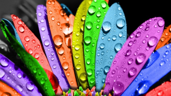 Download Colorful Wallpaper Cute Images - Warna Hd Background Hd ...