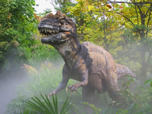 Dinosaur Wallpapers Hd Images - Redwood California Facts - 1920x1174 ...