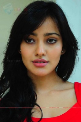 Actress Neha Sharma's - 638x960 Wallpaper - teahub.io