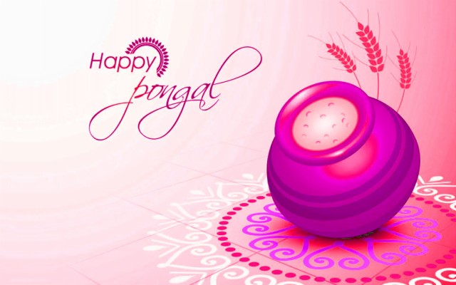 Pongal Wishes To Employees - 1440x877 Wallpaper 