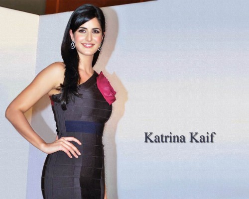 Katrina Kaif Sexy Dress - 1280x1024 Wallpaper - teahub.io