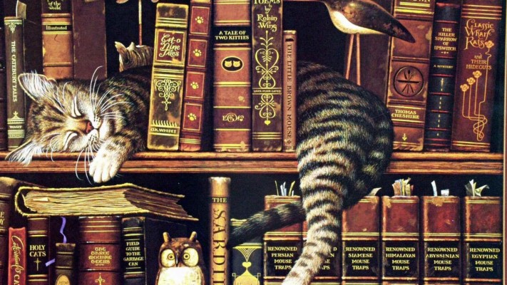 Library Cat Sleeping Bookshelf Books Tired Adorable Library Art 19x1080 Wallpaper Teahub Io