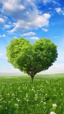 Green Heart Tree - 1024x768 Wallpaper - teahub.io